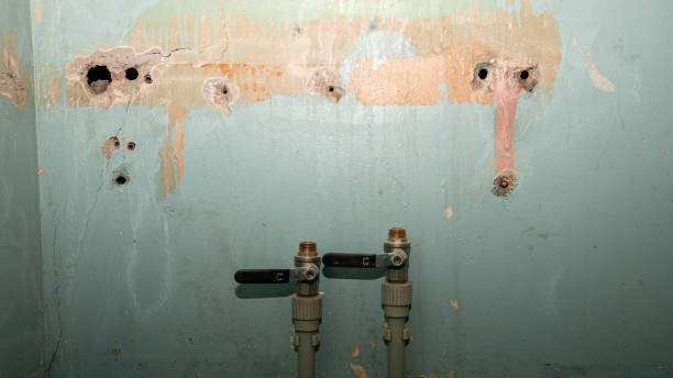  Anderson, CA Water damage restoration Pros