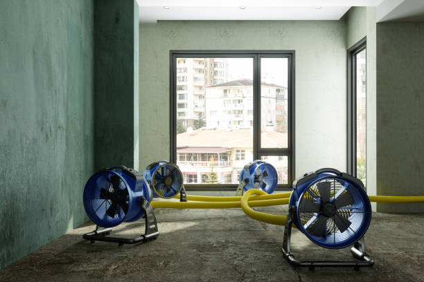 Water damage restoration mold remediation in Anderson, CA
